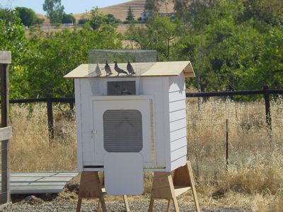 Chuck Foster Kit Box